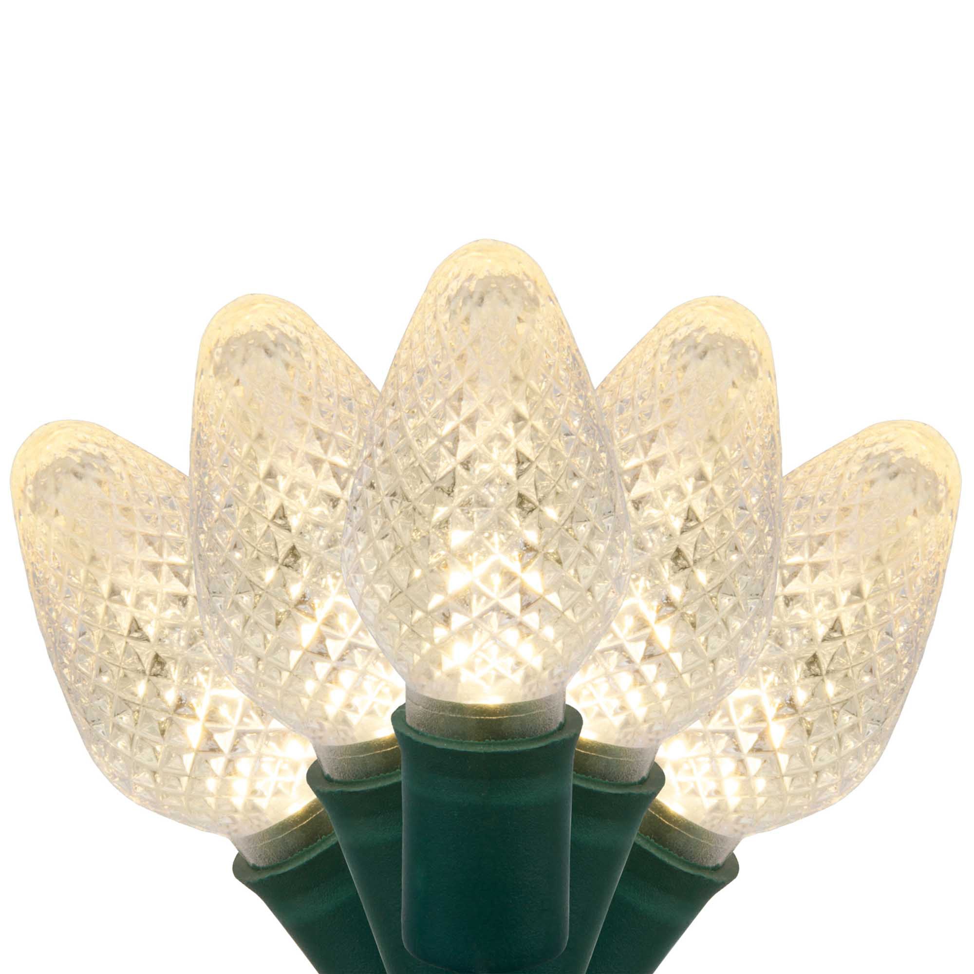 C7 Warm White LED Christmas Lights on Green Wire - Wintergreen