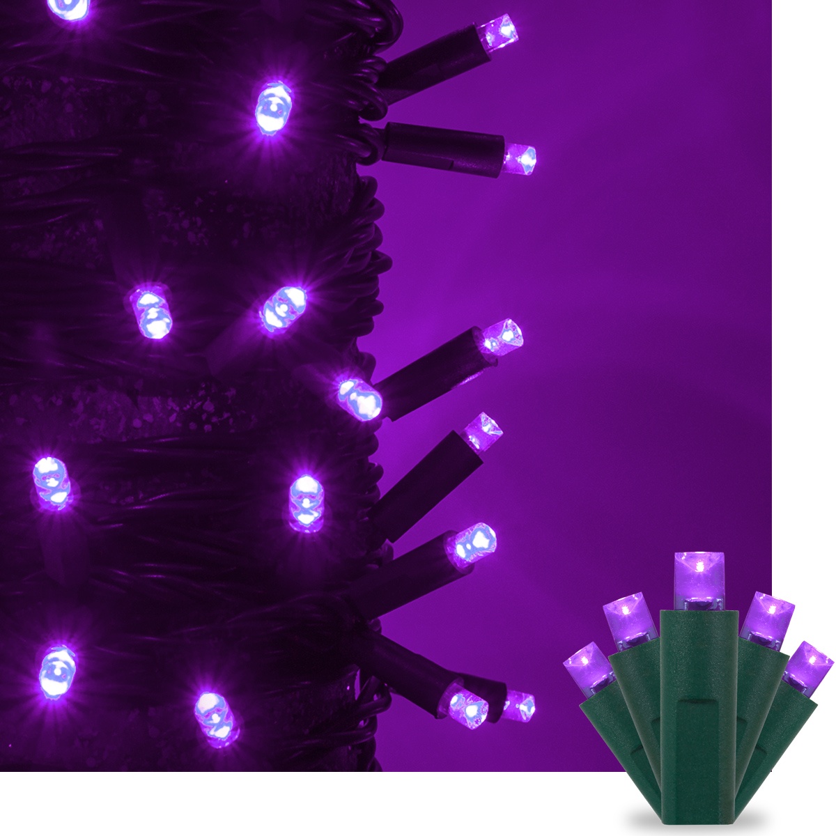 purple christmas lights