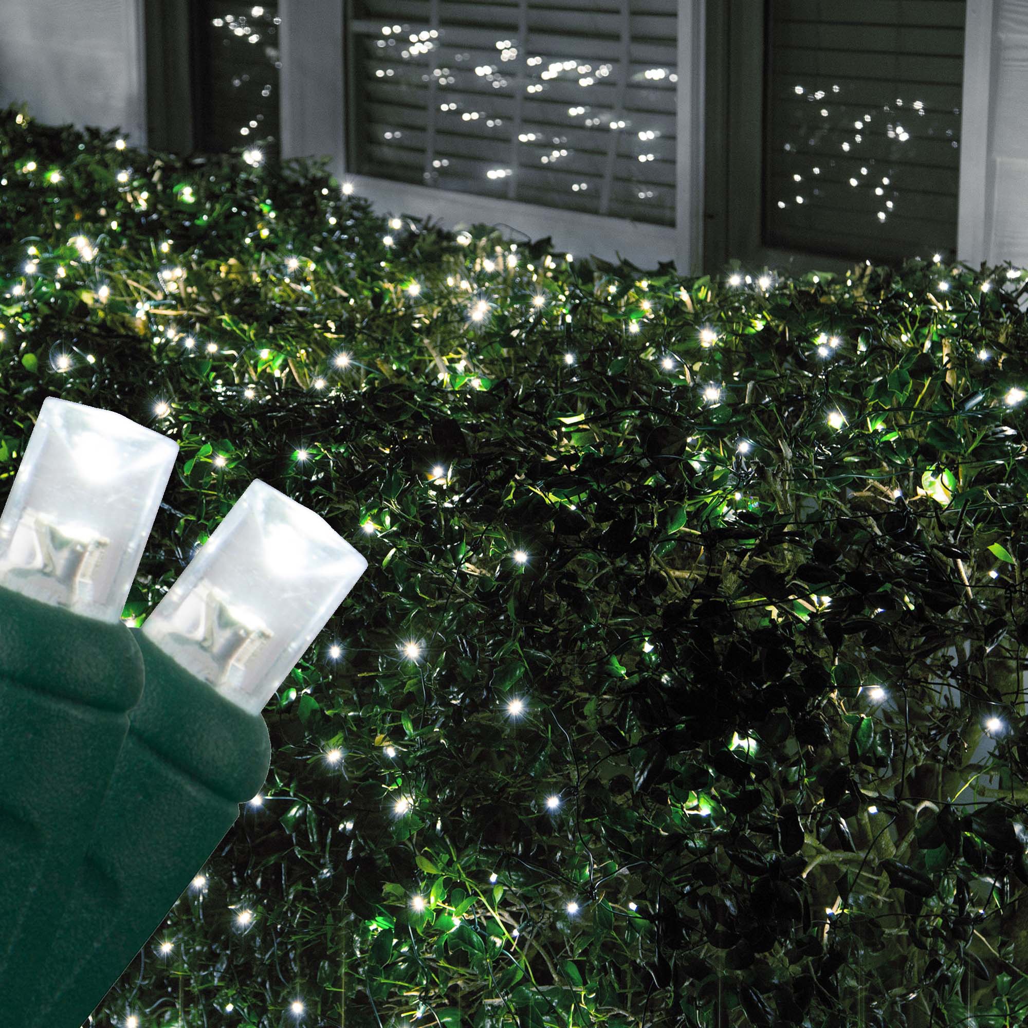 Cool White 5mm LED Christmas Net Lights on Green Wire Wintergreen