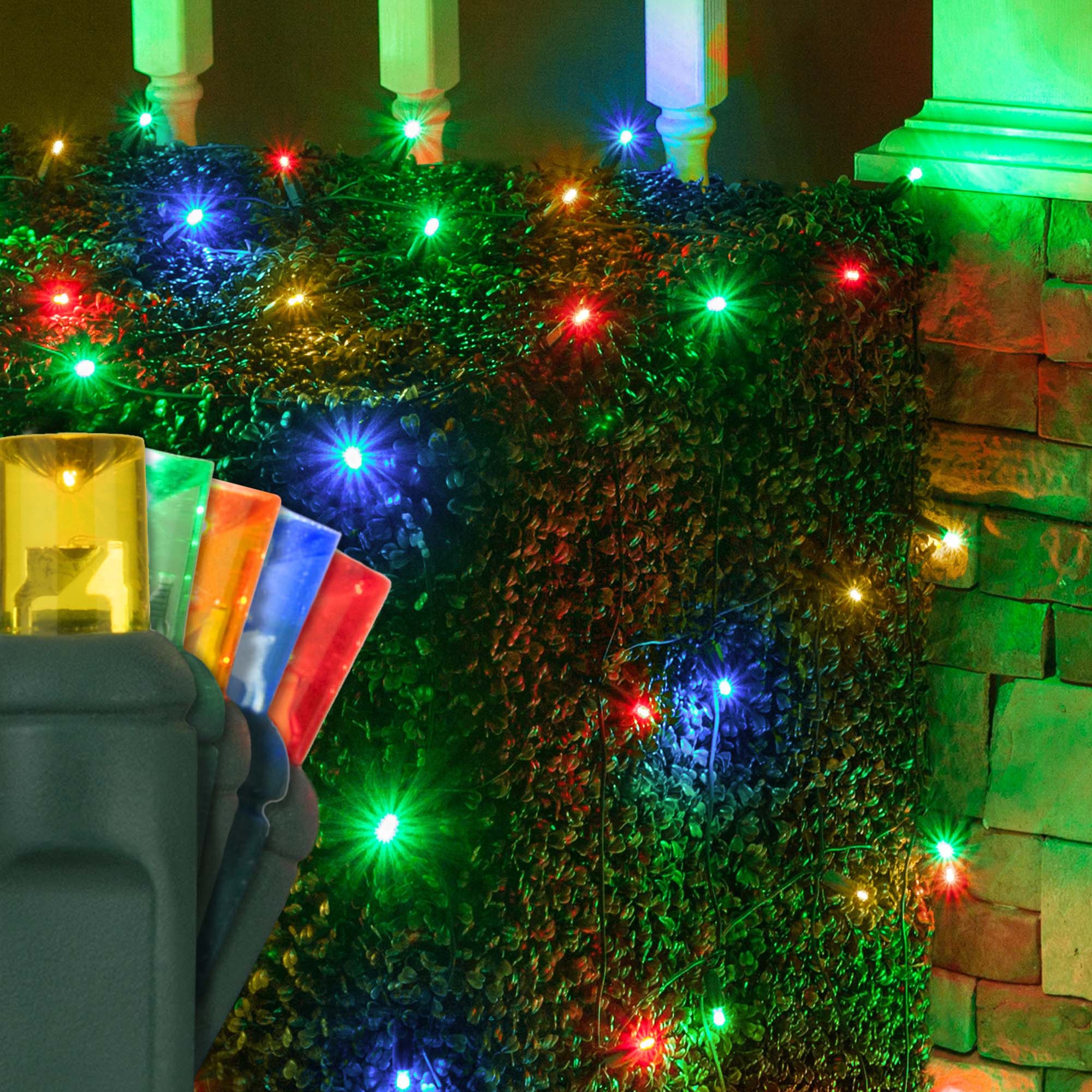 Multicolor 5mm LED Christmas Net Lights on Green Wire Wintergreen Corporation Wintergreen