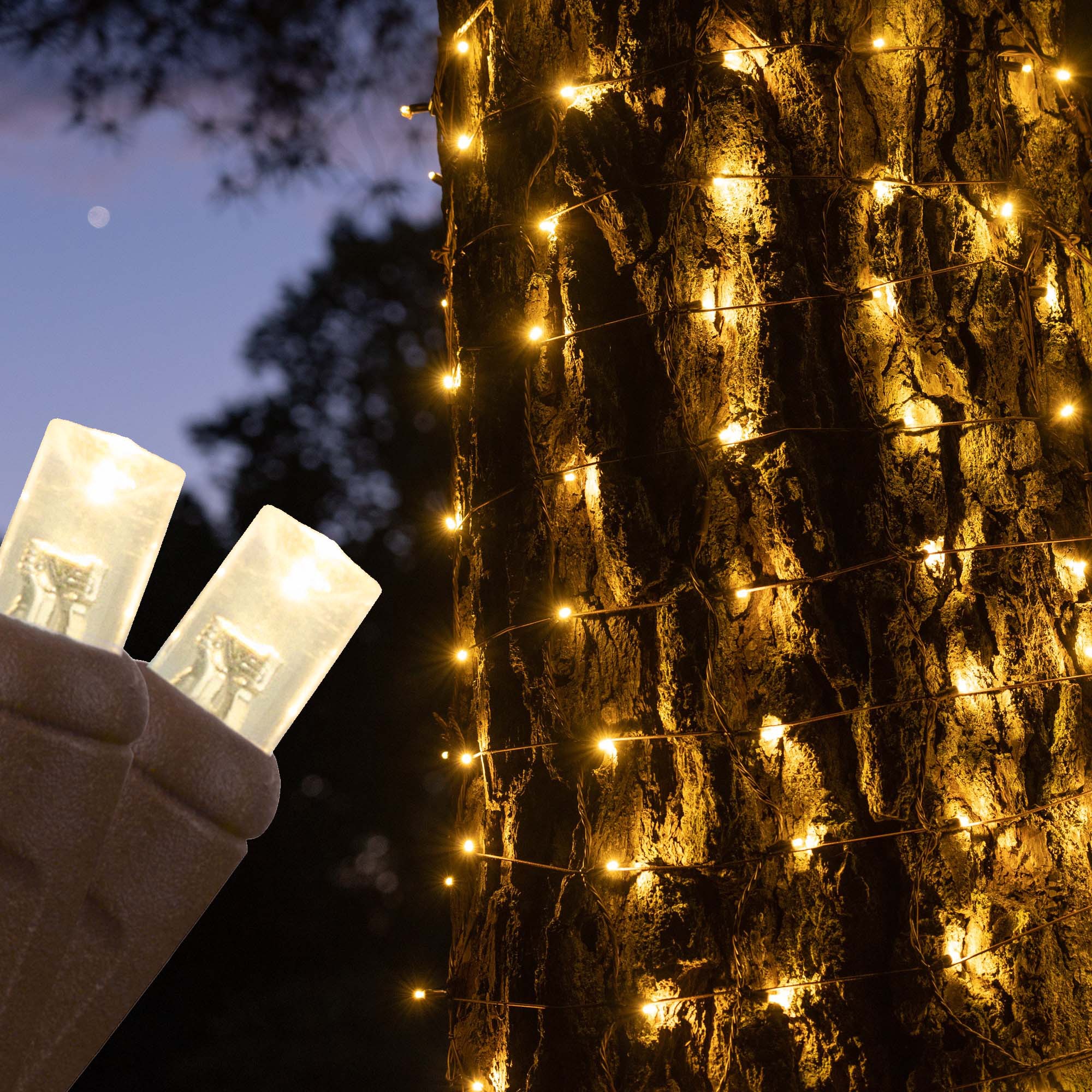 Warm White 5mm LED Christmas Column Wrap Lights on White Wire - Wintergreen  Corporation - Wintergreen Corporation